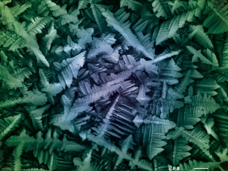 Dépôt d'étain observé en microscopie électronique à balayage