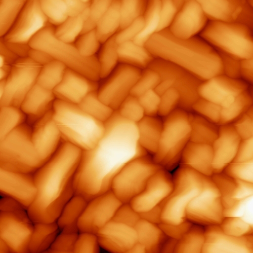 Cristallites d'oxyde de molybdène (MoO3), observés par microscopie à force atomique (AFM) en mode co